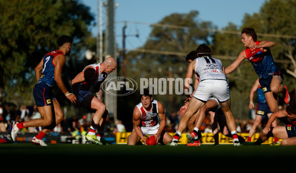 AFL 2025 Round 12 - Melbourne v St Kilda - A-59794966