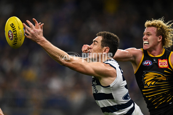 AFL 2025 Round 12 - West Coast v Geelong - A-59798017