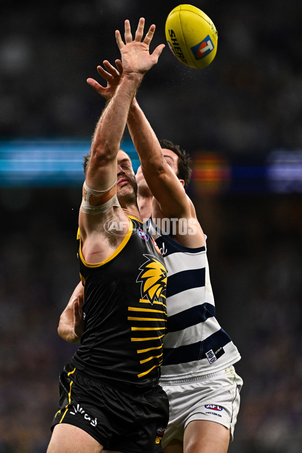 AFL 2025 Round 12 - West Coast v Geelong - A-59798048