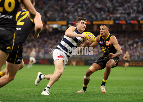 AFL 2025 Round 12 - West Coast v Geelong - A-59799836