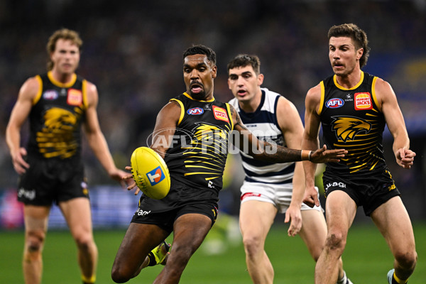 AFL 2025 Round 12 - West Coast v Geelong - A-59799862