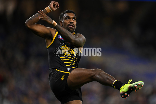 AFL 2025 Round 12 - West Coast v Geelong - A-59799863