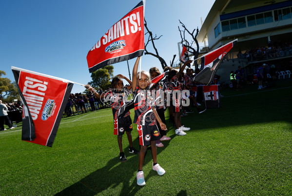 AFL 2025 Round 12 - Melbourne v St Kilda - A-59800315