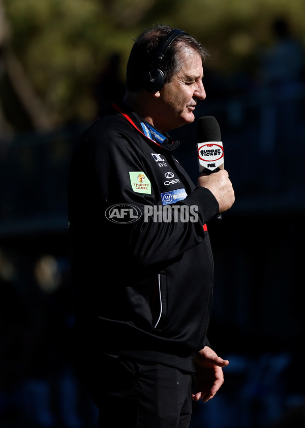 AFL 2025 Round 12 - Melbourne v St Kilda - A-59800316
