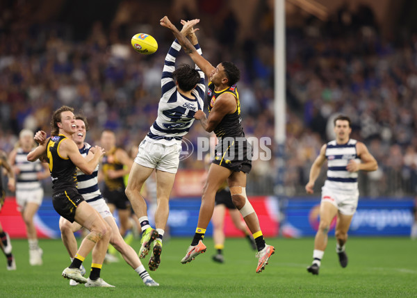 AFL 2025 Round 12 - West Coast v Geelong - A-59802311