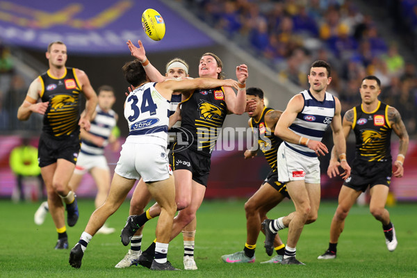 AFL 2025 Round 12 - West Coast v Geelong - A-59802358