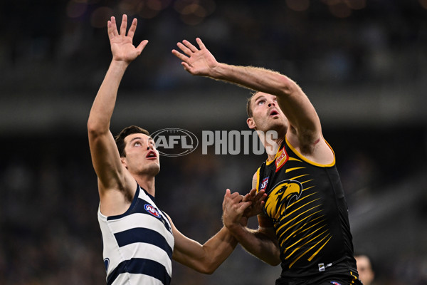 AFL 2025 Round 12 - West Coast v Geelong - A-59802531