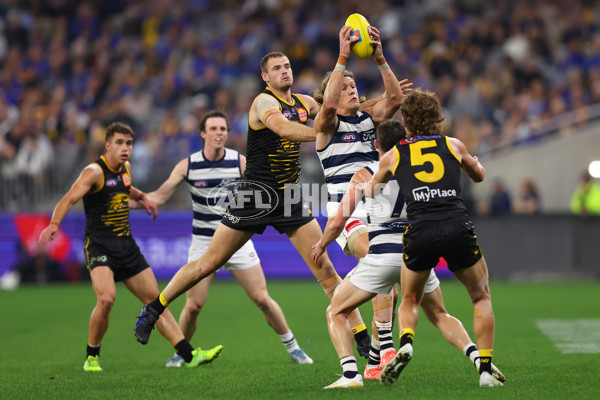 AFL 2025 Round 12 - West Coast v Geelong - A-59802578