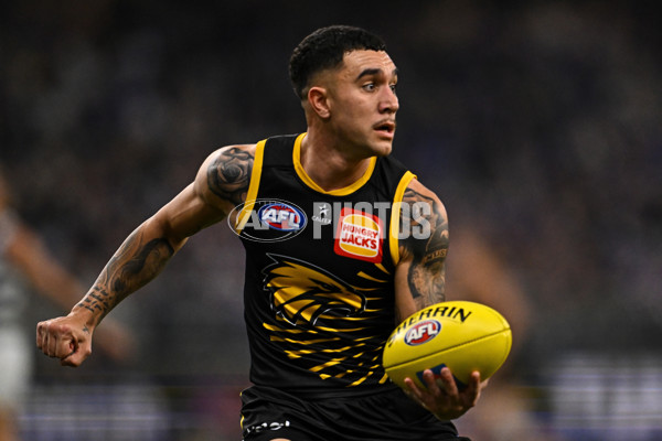 AFL 2025 Round 12 - West Coast v Geelong - A-59802596