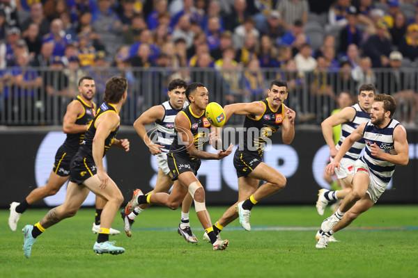 AFL 2025 Round 12 - West Coast v Geelong - A-59804935
