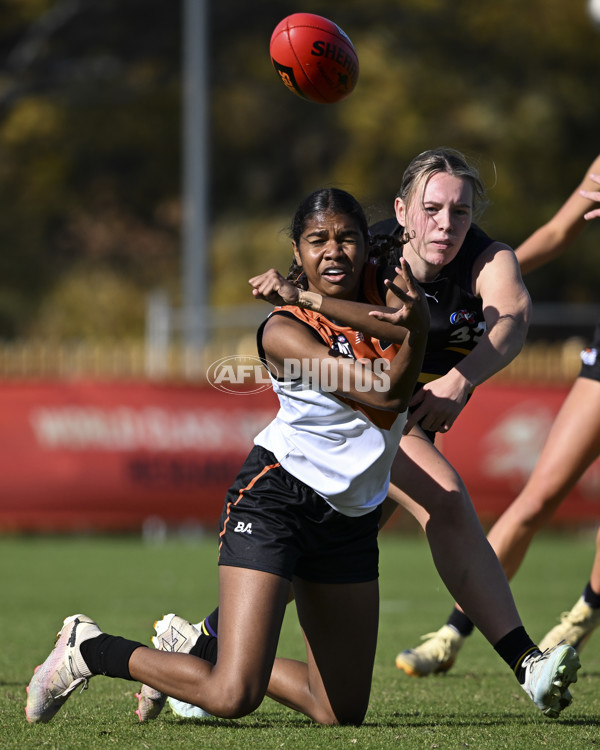 Coates League Girls 2025 Round 08 - Murray Bushrangers v Northern Territory Academy - A-59809184