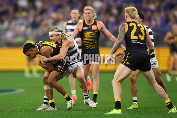 AFL 2025 Round 12 - West Coast v Geelong - A-59809202