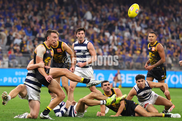 AFL 2025 Round 12 - West Coast v Geelong - A-59809203