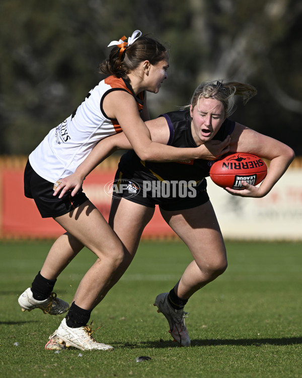 Coates League Girls 2025 Round 08 - Murray Bushrangers v Northern Territory Academy - A-59811267