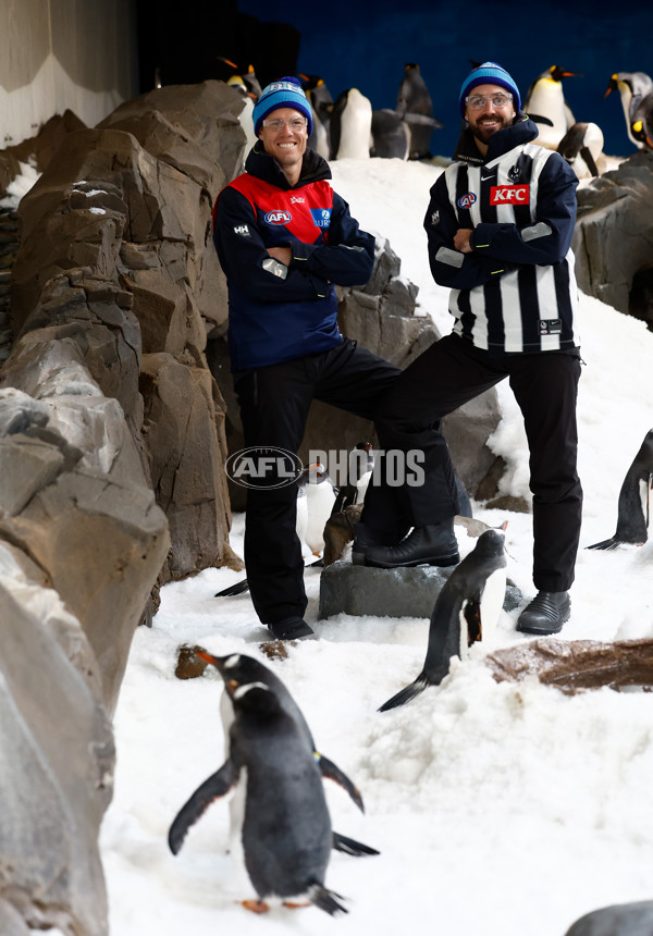 AFL 2025 Media - Big Freeze 11 Media Opportunity 030625 - A-59827655