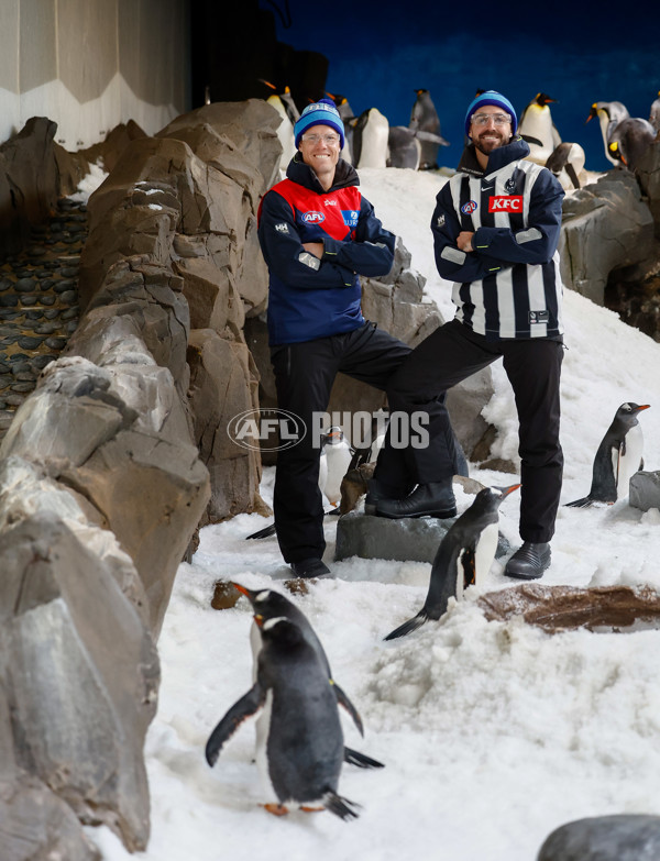 AFL 2025 Media - Big Freeze 11 Media Opportunity 030625 - A-59827992