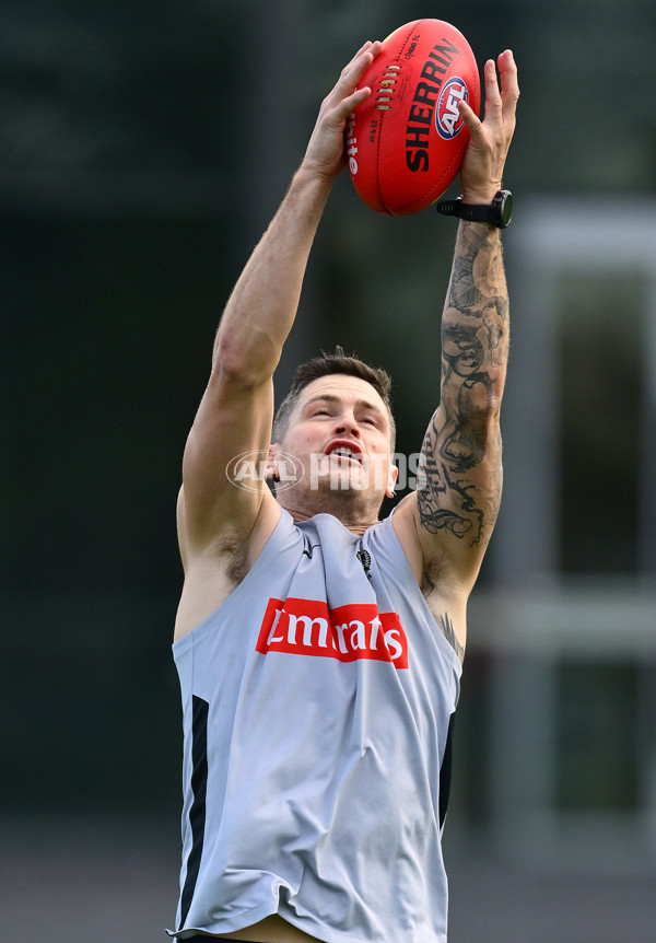 AFL 2025 Training - Collingwood 030625 - A-59828046