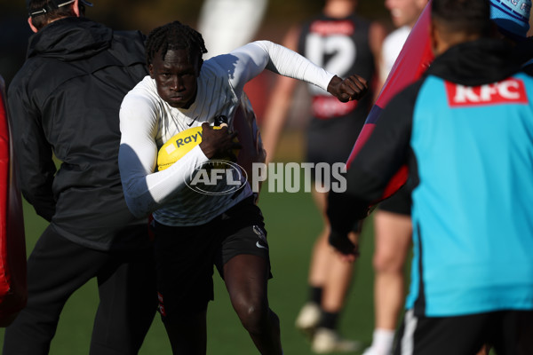 AFL 2025 Media - Collingwood Media Opportunity 040625 - A-59830449