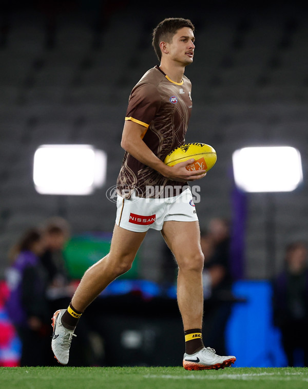 AFL 2025 Round 13 - Western Bulldogs v Hawthorn - A-59830477