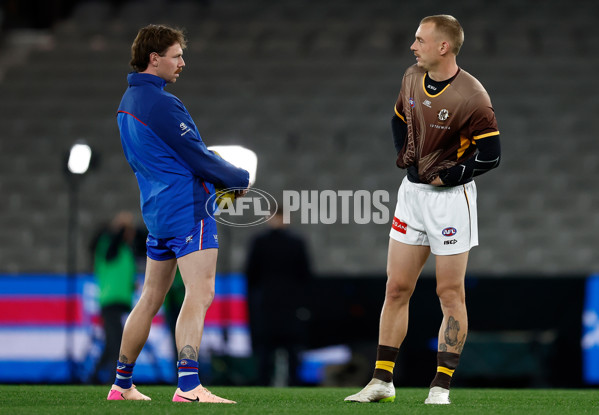 AFL 2025 Round 13 - Western Bulldogs v Hawthorn - A-59830480