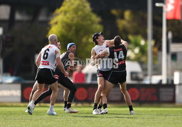 AFL 2025 Media - Collingwood Media Opportunity 040625 - A-59830750