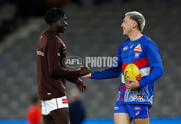 AFL 2025 Round 13 - Western Bulldogs v Hawthorn - A-59833241