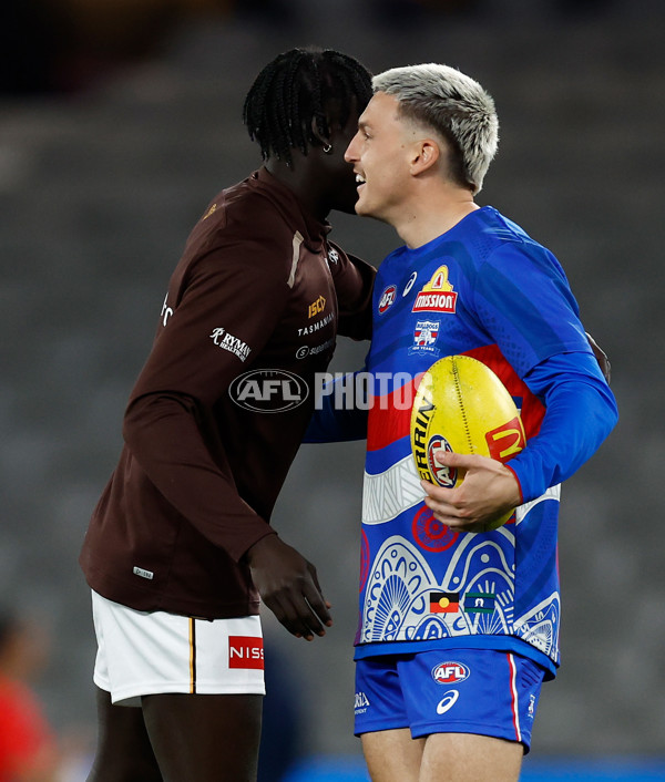 AFL 2025 Round 13 - Western Bulldogs v Hawthorn - A-59833242