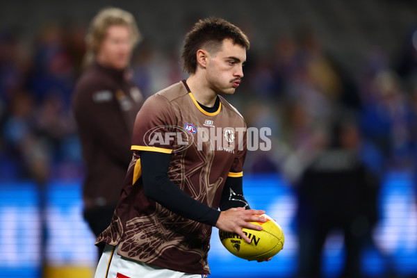 AFL 2025 Round 13 - Western Bulldogs v Hawthorn - A-59833247