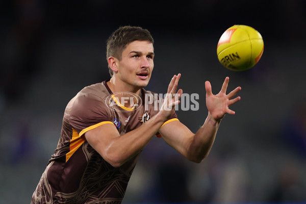 AFL 2025 Round 13 - Western Bulldogs v Hawthorn - A-59833248