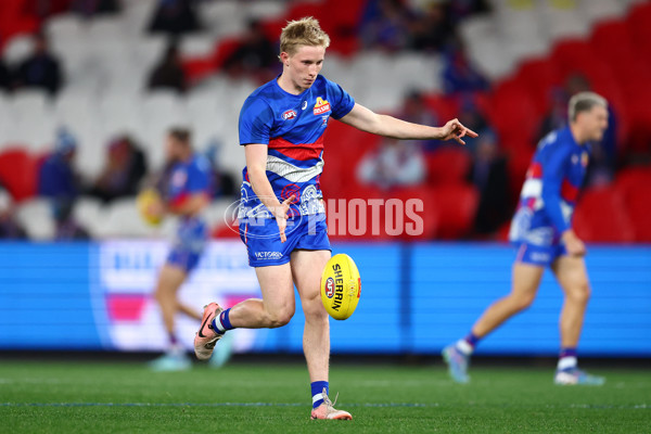 AFL 2025 Round 13 - Western Bulldogs v Hawthorn - A-59833250