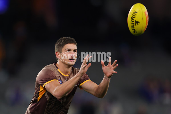 AFL 2025 Round 13 - Western Bulldogs v Hawthorn - A-59833254