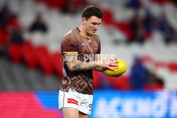 AFL 2025 Round 13 - Western Bulldogs v Hawthorn - A-59833256