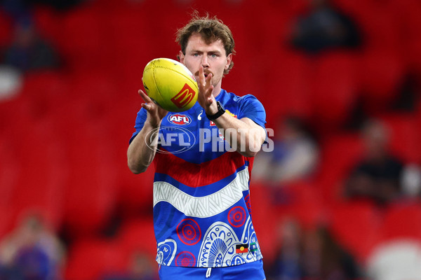 AFL 2025 Round 13 - Western Bulldogs v Hawthorn - A-59833259