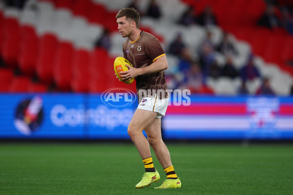 AFL 2025 Round 13 - Western Bulldogs v Hawthorn - A-59833260