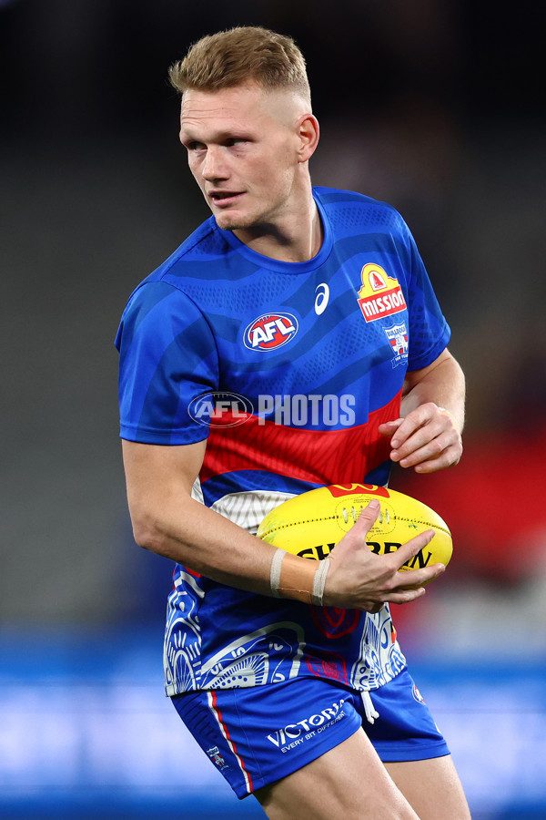 AFL 2025 Round 13 - Western Bulldogs v Hawthorn - A-59833261