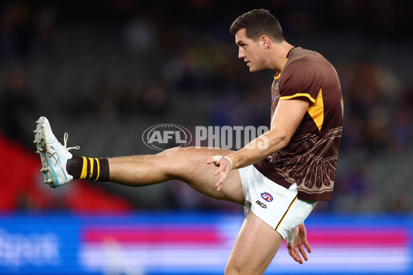 AFL 2025 Round 13 - Western Bulldogs v Hawthorn - A-59833267