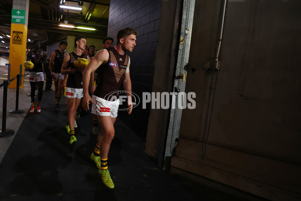 AFL 2025 Round 13 - Western Bulldogs v Hawthorn - A-59833287