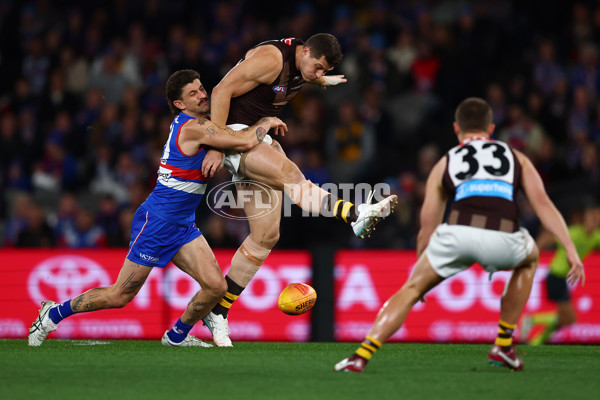 AFL 2025 Round 13 - Western Bulldogs v Hawthorn - A-59833295