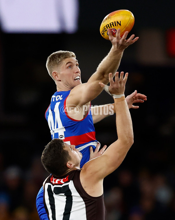 AFL 2025 Round 13 - Western Bulldogs v Hawthorn - A-59833297