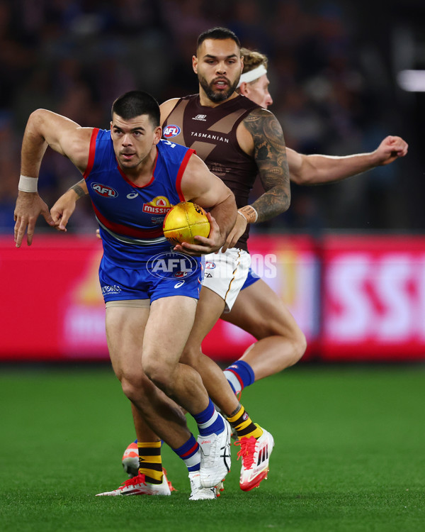 AFL 2025 Round 13 - Western Bulldogs v Hawthorn - A-59833890