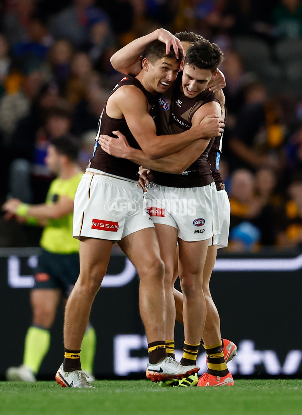 AFL 2025 Round 13 - Western Bulldogs v Hawthorn - A-59833895
