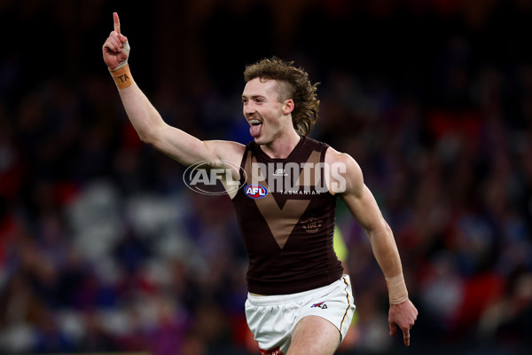 AFL 2025 Round 13 - Western Bulldogs v Hawthorn - A-59833906
