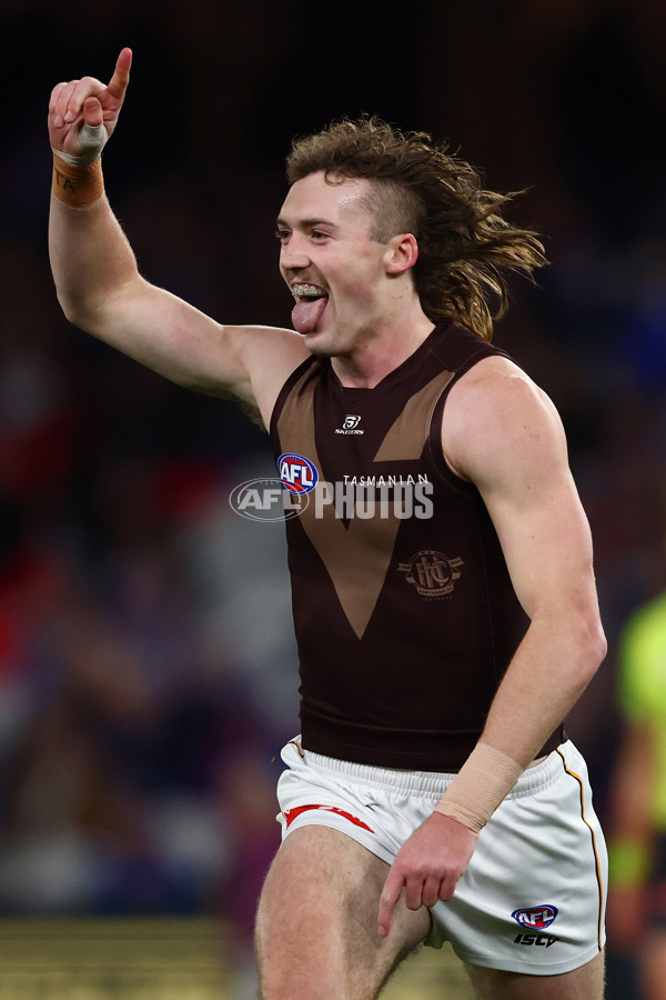 AFL 2025 Round 13 - Western Bulldogs v Hawthorn - A-59833907