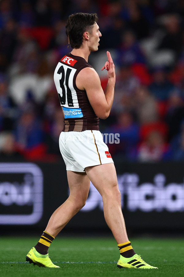AFL 2025 Round 13 - Western Bulldogs v Hawthorn - A-59833908