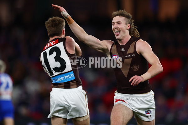 AFL 2025 Round 13 - Western Bulldogs v Hawthorn - A-59833909