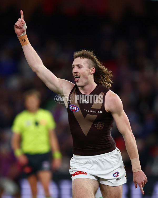 AFL 2025 Round 13 - Western Bulldogs v Hawthorn - A-59833911