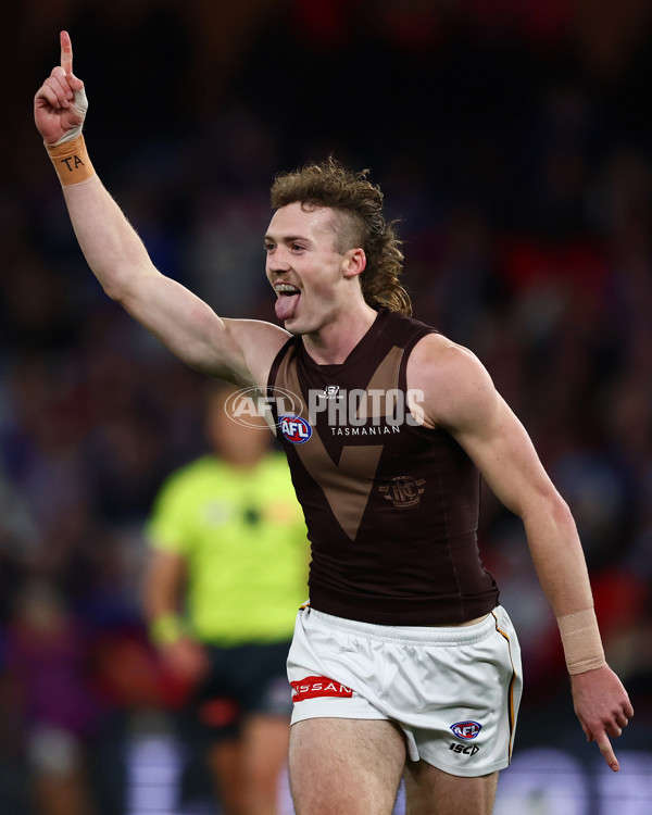 AFL 2025 Round 13 - Western Bulldogs v Hawthorn - A-59833912