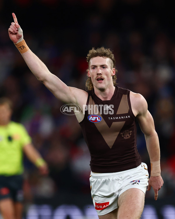 AFL 2025 Round 13 - Western Bulldogs v Hawthorn - A-59833913