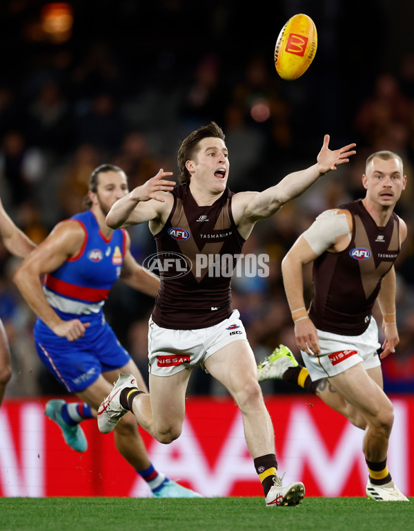AFL 2025 Round 13 - Western Bulldogs v Hawthorn - A-59835534