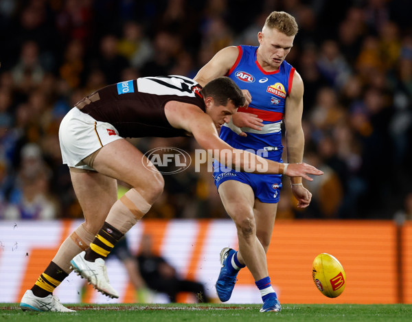 AFL 2025 Round 13 - Western Bulldogs v Hawthorn - A-59835537